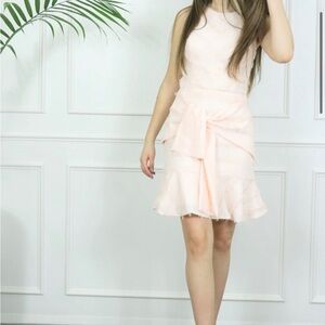 Adelyn Rae Blush Pink Woven Sleeveless Jacquard Sheath Dress Medium EASTER